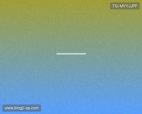 生命快车：穿越时空的奇迹旅程，每一站都值得全力以赴